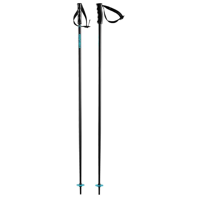 HEAD Multi black and speed blue ski poles